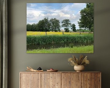 Landschap