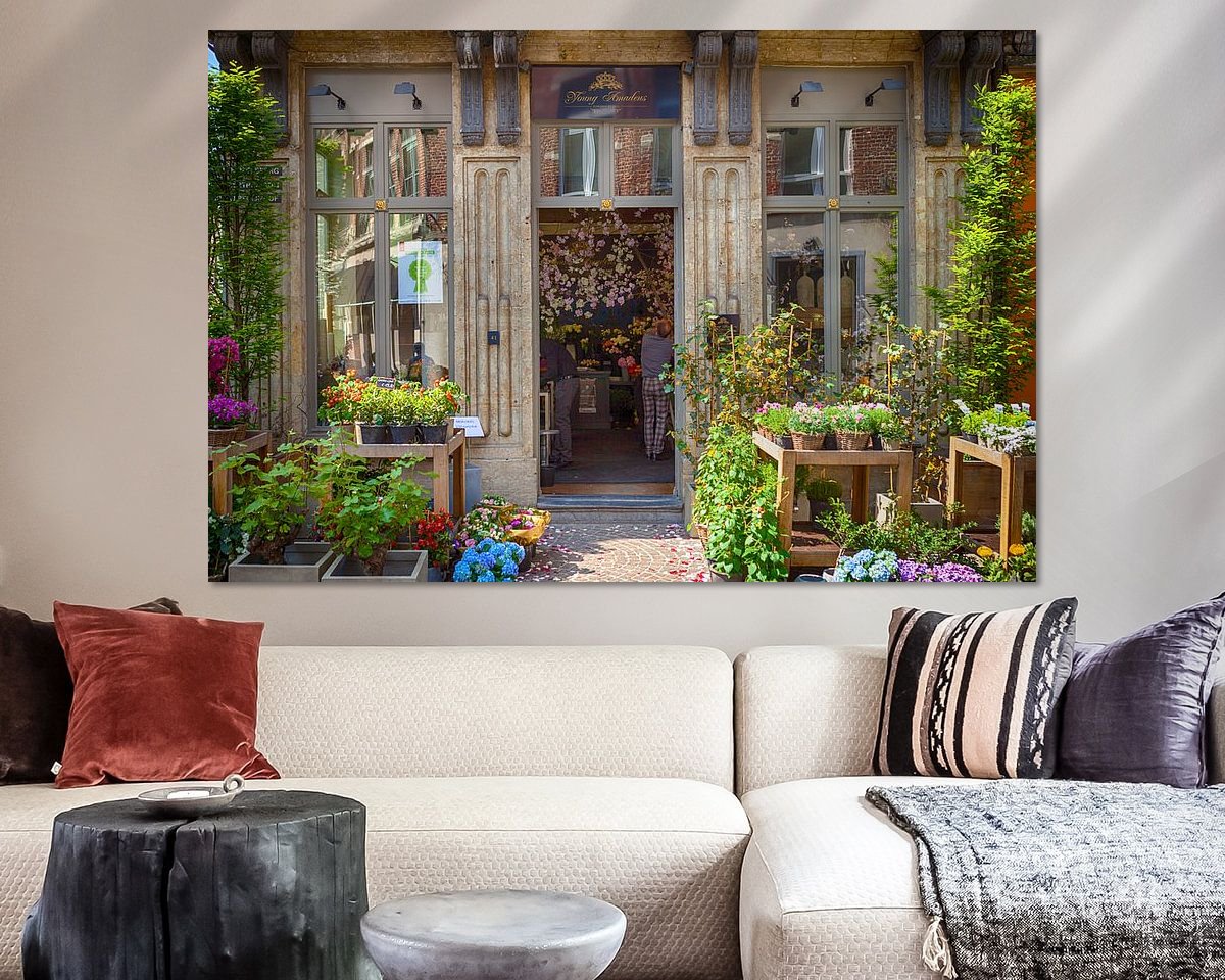 Aperçu de la chambre