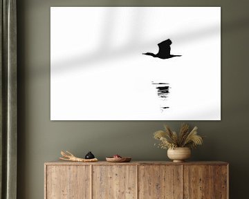 Vliegende aalscholver  boven water (silhouet) (zwart-wit)