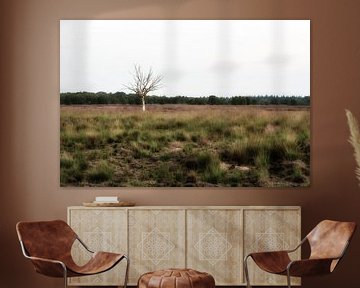 Lonely tree on the heath by Maikel Brands