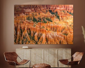 Bryce Canyon van Antwan Janssen