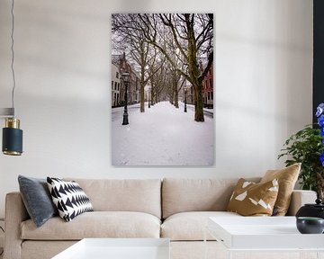 Sneeuw heeft Leiden ingepakt van Franck Doho