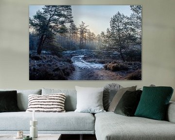 Veluwe winter path by Tim Annink