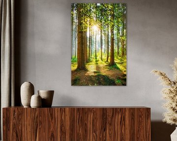 Een ochtend in het bos met felle zonneschijn van Günter Albers