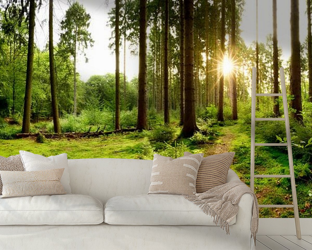 Raumvorschau