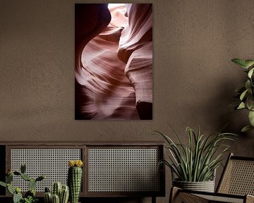 Lower Antelope Canyon by Kees van Dun