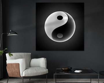 Yin-Yang bal van Jörg Hausmann