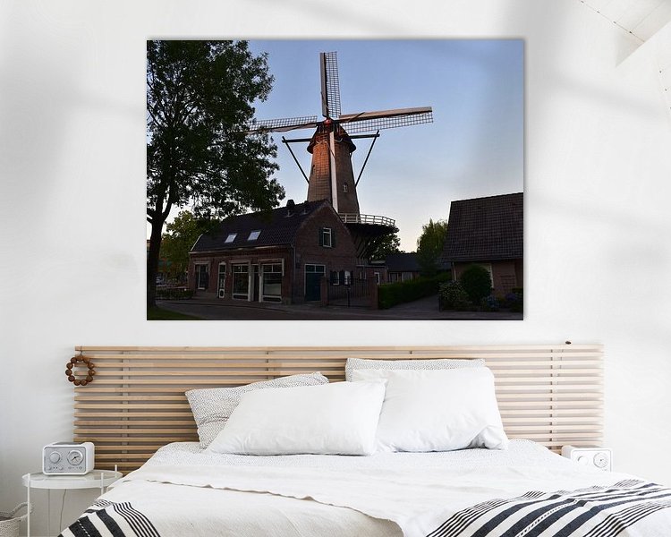 Aperçu de la chambre