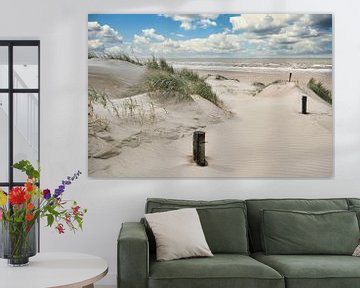 Noordzee met de Nederlandse duinen van eric van der eijk