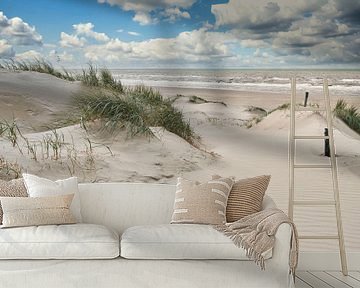 Noordzee met de Nederlandse duinen van eric van der eijk