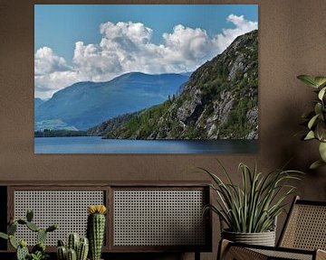 The Cloudy Norwegian Fjords by Naomi Elshoff