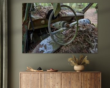 Bœuf en voiture au cimetière en forêt de Ryd, Suède