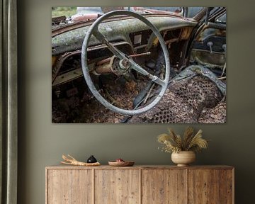 Steer in car at cemetery in forest in Ryd, Sweden by Joost Adriaanse