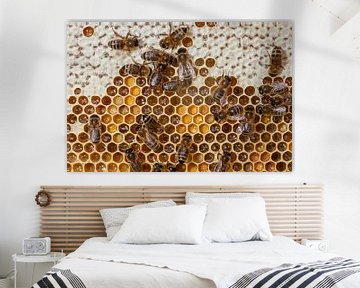Honingbijen op hun raad met honing