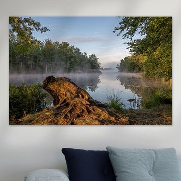 Baumstumpf am See bei Sonnenaufgang in Südschweden