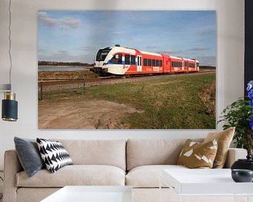 De ARRIVA trein in landelijke landschap (3882) van Erik van Vliet