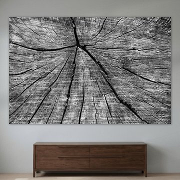 Kofferraum von Leo van Valkenburg