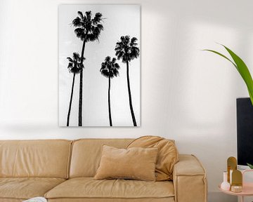 Palm trees black and white by Malou van Gorp