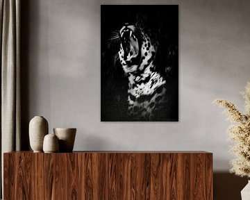 Jaguar noir et blanc sur Malou van Gorp