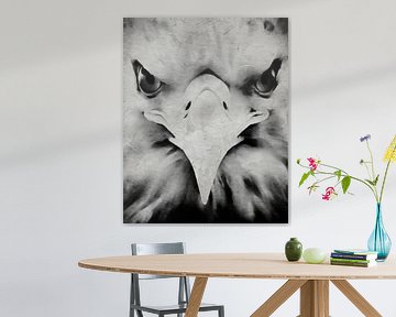 Portrait d'un aigle
