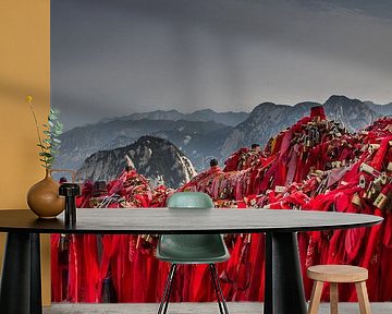 Red ribbons by Shorty's adventure