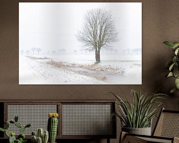 Eenzame boom in de sneeuw. van Anita Lammersma