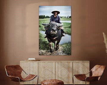 boer op buffel in rijstveld van Karel Ham
