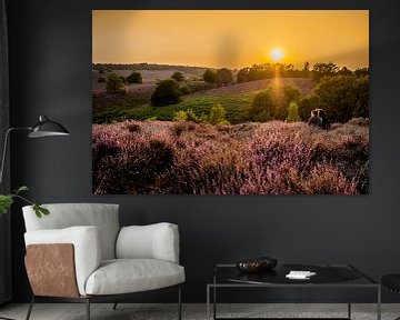 Romance on the Veluwe by Marcel Krijgsman