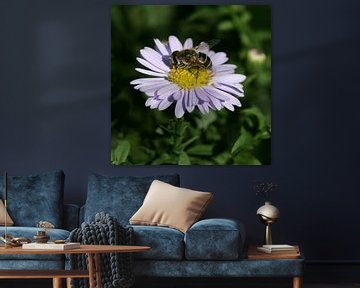 Biene auf einer lila Blume von Lynn van Baaren