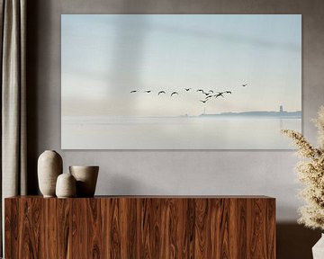 Geese above the mudflats by Albert Wester Terschelling Photography