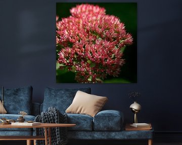 Roze bloemetjes / knopjes van Lynn van Baaren