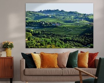 Vineyards in Piedmont by Denise van Gerven