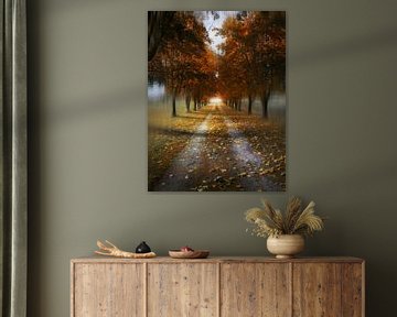 Autumn Lane by Lennert Trevels