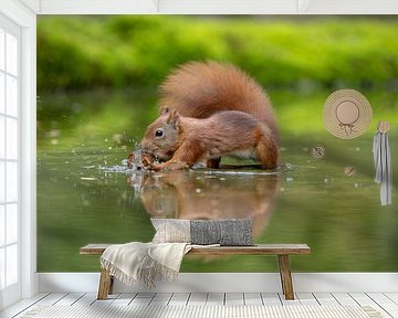 Squirrel takes note by Tanja van Beuningen