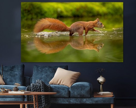 Aperçu de la chambre