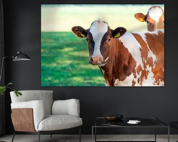 Cow by Fotografie Arthur van Leeuwen