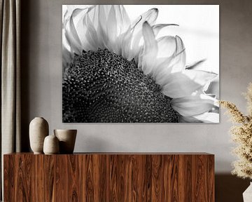 Details einer Sonnenblume in Schwarz/Weiß von Art By Dominic