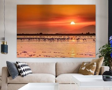 Sonnenuntergang auf der Insel Kos zwischen den wunderschönen Flamingos von Costas Ganasos