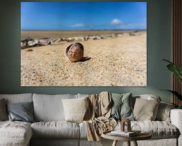 Shell on the beach by Ricardo Bouman Photography