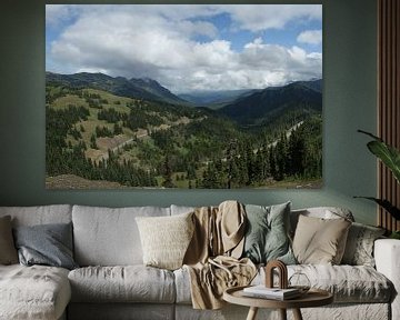 Blick auf die Hurricane Ridge Road von Jeroen van Deel