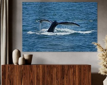 Humpback Whale taking a deep dive van Jeroen van Deel