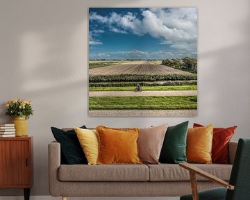 Landschap vlak onder de Waddendijk nabij Harlingen van Harrie Muis