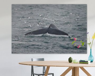 Blue Whale fluke at Spitsbergen. by Menno Schaefer