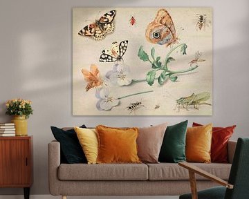 Studie van insecten en bloemen, Jan van Kessel