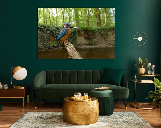 Aperçu de la chambre