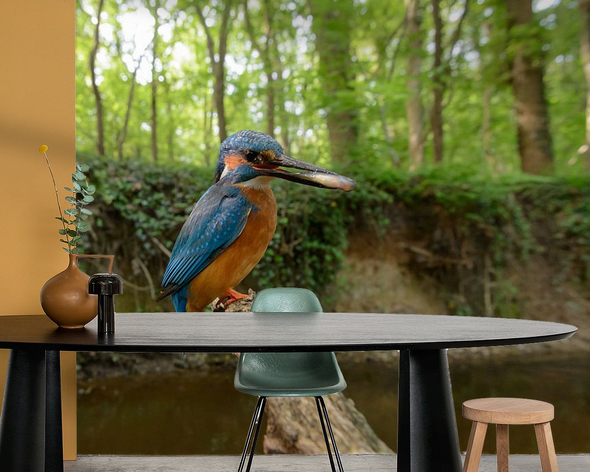 Raumvorschau