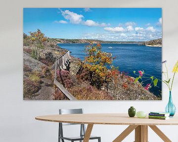 Vue de l'île de Dyrön en Suède sur Rico Ködder