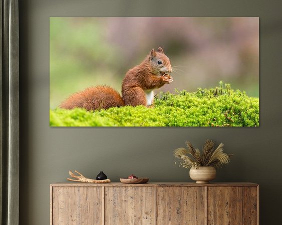 Aperçu de la chambre