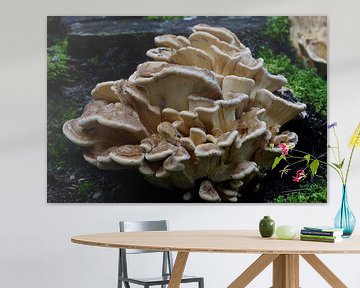 A group of mushrooms by Gerard de Zwaan