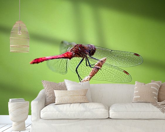 Aperçu de la chambre